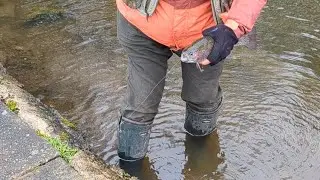 Landing a Rainbow Trout at Danebridge Fisheries, Wincle in Cheshire