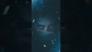 Broken Ice ❄️ Hide your face Portrait Edit Idea #picsart
