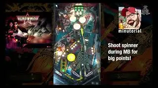 Gold Wings Pinball Minutorial