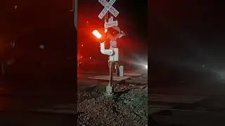 The train tracker for texas eagle time change number 21 comes at 5:31 am 22 comes at 9:16 pm.