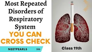 Asthma, Emphysema, Occupational Respiratory Disorders | Neetpearls | Most Repeated Disorders #neet