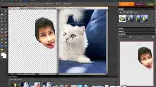 Animal Icon Help