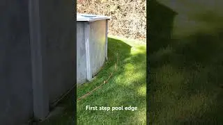 Pool edge step 1