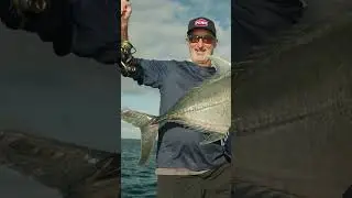 PENN Slammer II Rods