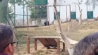 Jambu Zoo School Picnic| SN Public School|