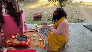 Baba Surgal Dev ji Chowki !! Guru Sushil Baba ji 🐍 !! 7051009682 Jai Baba Surgal dev ji