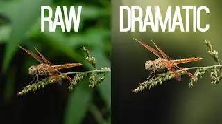 DRAMATIC PHOTO EDIT | PIXEL 8 | #shorts
