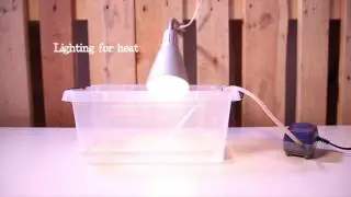 Ocean Kitchen, Bart van Dommelen