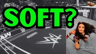 The Fan Had to APOLOGIZE?