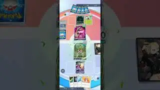 Pok&eacute;mon Pocket Rangmatch #005