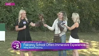 Wing Blade Falconry: Hawks, Falcons and Owls Up Close!