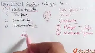 Obelia belongs to - | CLASS 12 | NTSE QUESTION PAPER 2016 | BIOLOGY | NTSE PREVIOUS YEAR PAPER |...