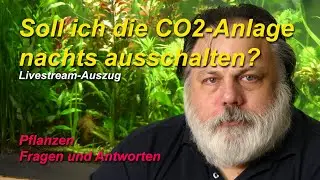 Sollte ich die CO2-Anlage Nachts ausschalten?