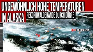 Ungew&ouml;hnlich hohe Temperaturen in Alaska - Rekordwaldbr&auml;nde durch Trockenheit