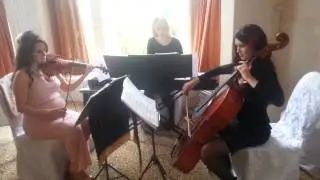 Caspia Trio- Piano Man