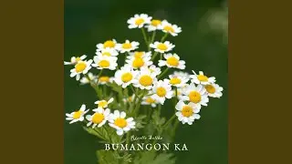 Bauko