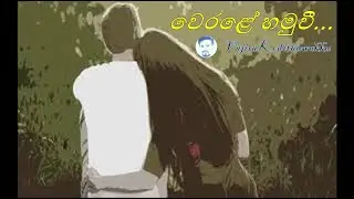 වෙරළේ හමු වී| Werale Hamu Wee|Official Lyrics Video|Recorded@Sense of Legato