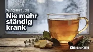Winterkr&auml;uter f&uuml;r W&auml;rme & Immunsystem