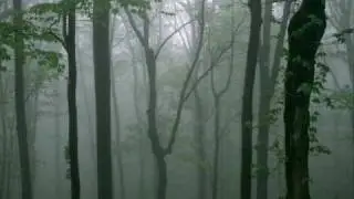 Enigma - Sadeness ( Part 1) Violent U. S. remix