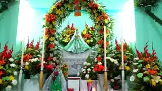 feria 2017 Santa Maria Velato Dia 8