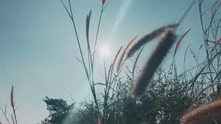Instrumental  O vento