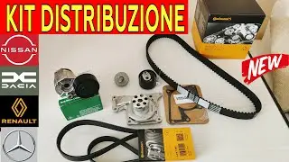 Timing Belt and Service Belt Kit: Which One to Choose? Example on a Renault 1.5 dci K9K Engine