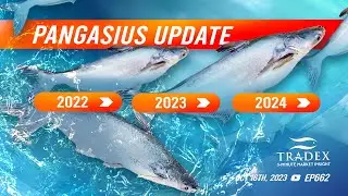 3MMI - Pangasius Update: 2022 Comparison, 2023 Challenges, 2024 Opportunities