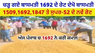 ਪੰਜਾਬ ਚ ਚੜ ਗਏ ਬਾਸਮਤੀ 1692 ਦੇ ਰੇਟ Basmati 1509 1847 1692 super-52 mandi bhav today tmb info mandirate