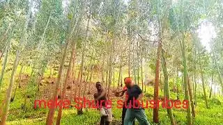 dj_philpeter_-_terimometa..feat Kenny_ sol(officer)video by bugoyi kids