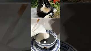 Почему это блюдо почти всегда портят