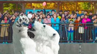 Broke Zoo Uses Employees As 