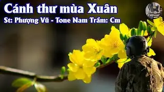 Karaoke C&aacute;nh Thư M&ugrave;a Xu&acirc;n Tone Nam Trầm | TAS BEAT