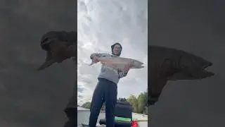 FEATHER RIVER SALMON FISHING 10/15/2025