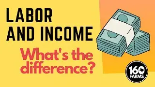 LABOR AND INCOME: WHAT'S THE DIFFERENCE?