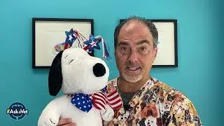 Fourth of July Pet Safety - #AskaVet