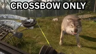 Crossbow Hunting Highlights | Yukon Valley | theHunter: Call of the Wild