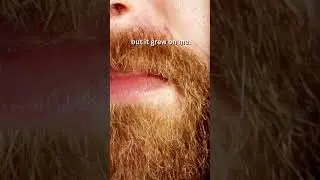 I used to hate facial hair #shorts #jokes #laugh #beards #shaving #facialhair