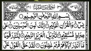 Surah Yasin | Surah Rahman Full🌿 Tilawat | (HD) | Arabic Text | Alqama Naziri Official