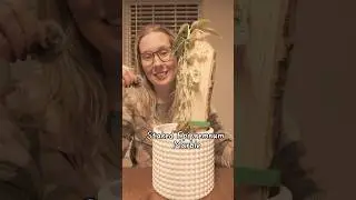 What to do once your plant reaches the top of your wood stake?