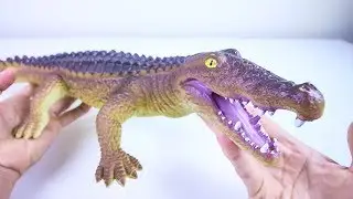 Cutting Open a Giant Crocodile Toy! What's inside?? Soft Squishy Animal Surprises!