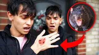 A Rat ATTACKED Me!