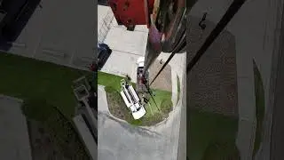Palm Tree Removal w/ Crane!