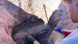 Найдено гигантское ДРЕВНЕЕ дерево