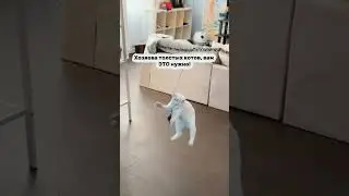 &hearts;️ артикул на Яндекс маркет: YM10211647(не забудь в поиске вписать YM)