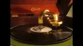 ''SOMEBODY LIKE YOU'' - Dave Harman's Orchestra - 1925