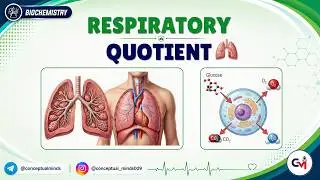 Respiratory Quotient (RQ) 🫁⚡ | Metabolic Significance & Substrate Utilization | USMLE Step 1