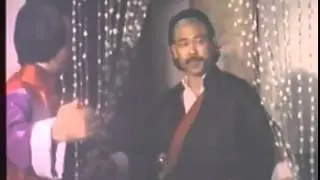 Tiger & Crane Fists 1976 虎鶴雙形