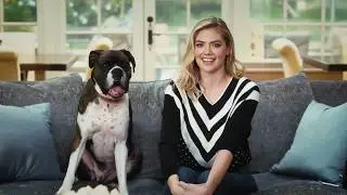 5 Pet Gadgets Every Dog Owner Should Have