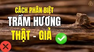 Cách phân biệt trầm hương thật - giả tại nhà. Đừng mua nếu chưa xem video này! | Trầm Thủy Hương
