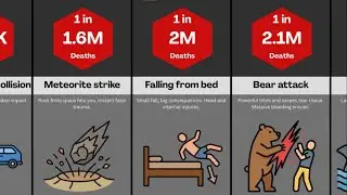 Comparison: Probablity of Ways you Can Possibily Die
